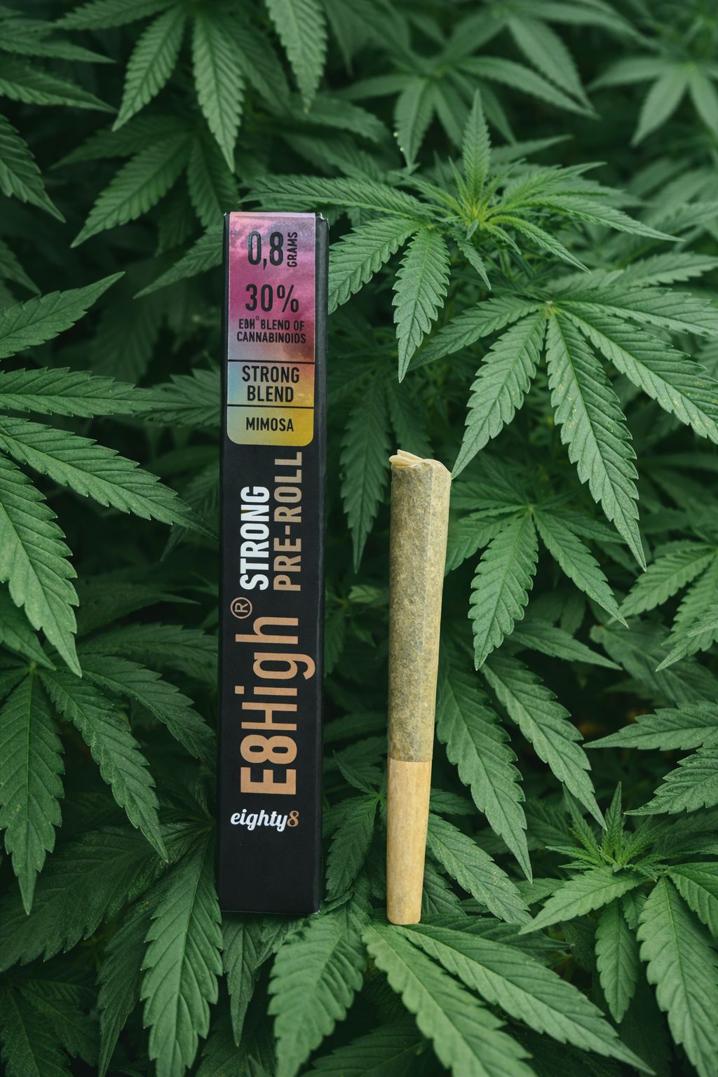 88 MIMOSA PRE ROLLS THCA 25 PCS