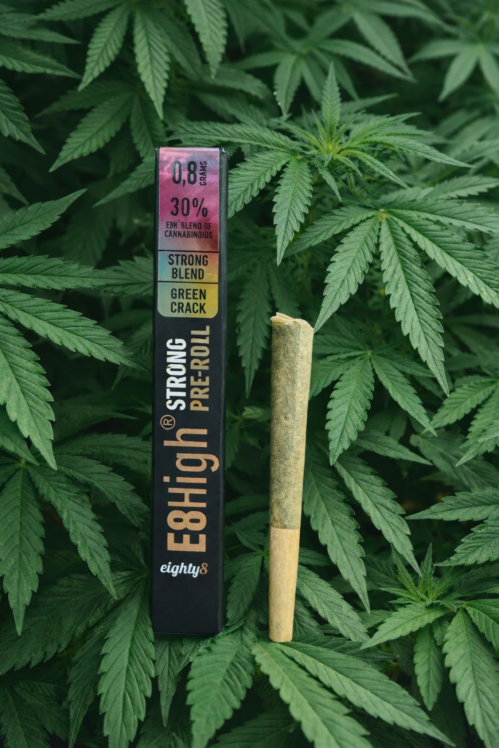 88 ANIMAL MINTS THCA PRER ROLLS 25 PCS